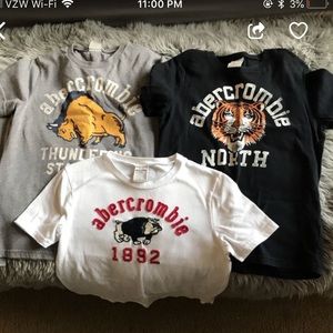 7 Abercrombie and Fitch shirts all size L. 11-12